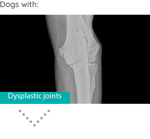 Dysplastic Joints